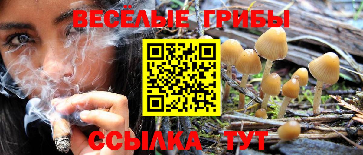 Галлюциногенные грибы GOLDEN TEACHER Белая Калитва